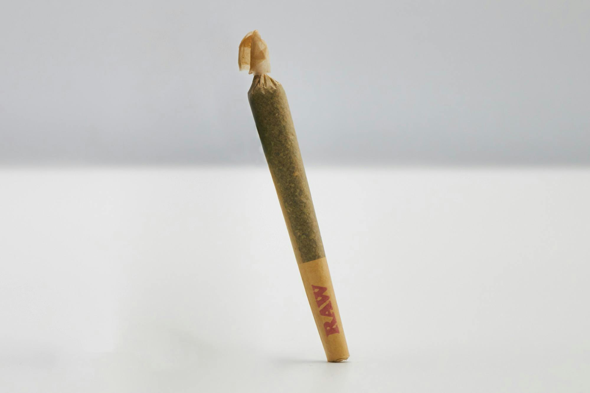 Diplomat Maximo | Dummy Bears Preroll 1g