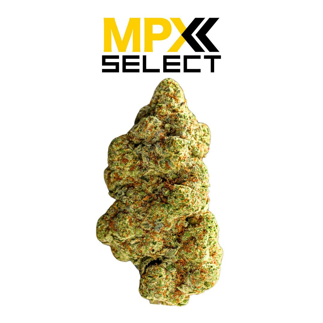 MPX Select™ Jack Herer Flower