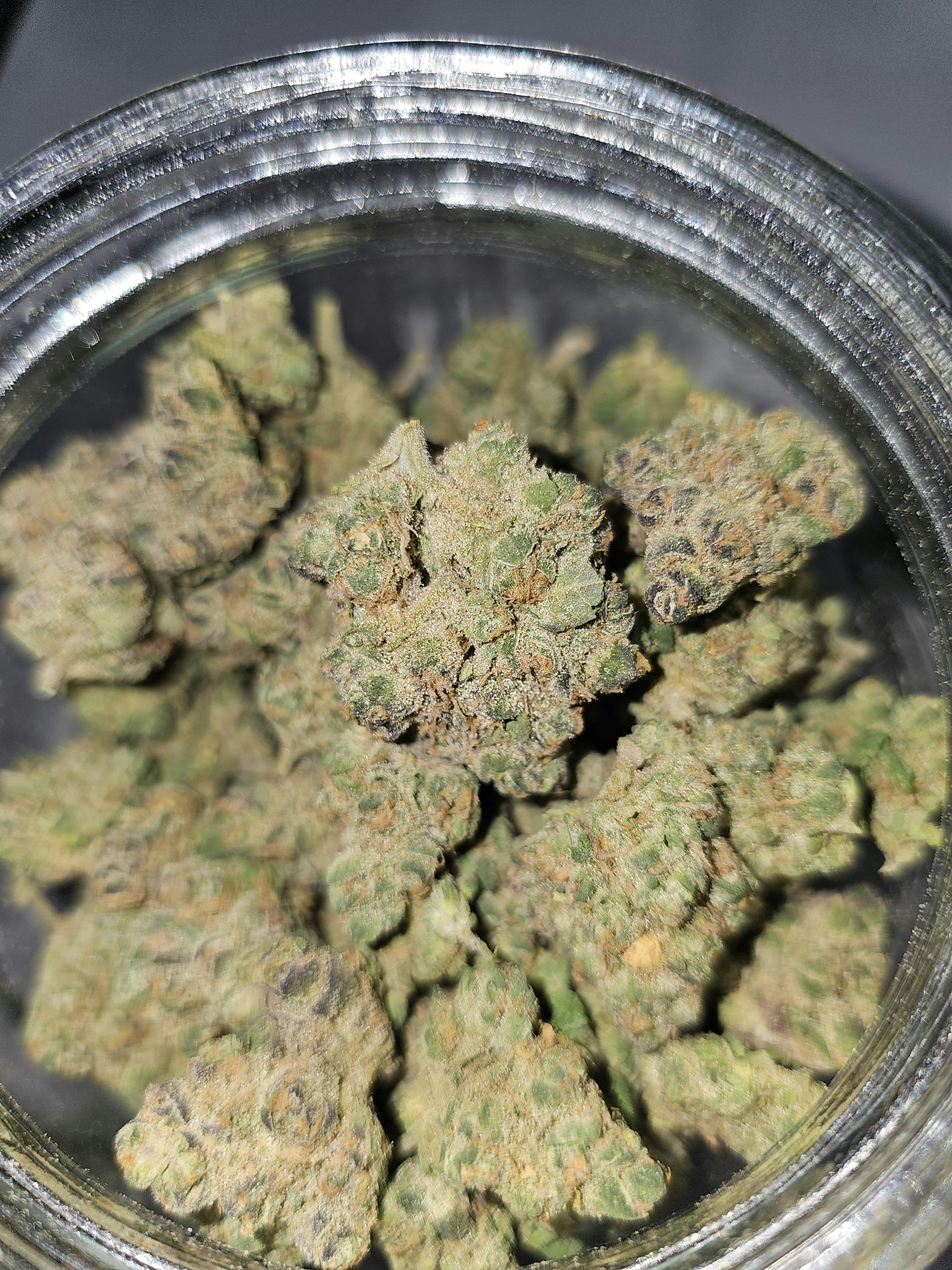 Poppin Bottlez Buds