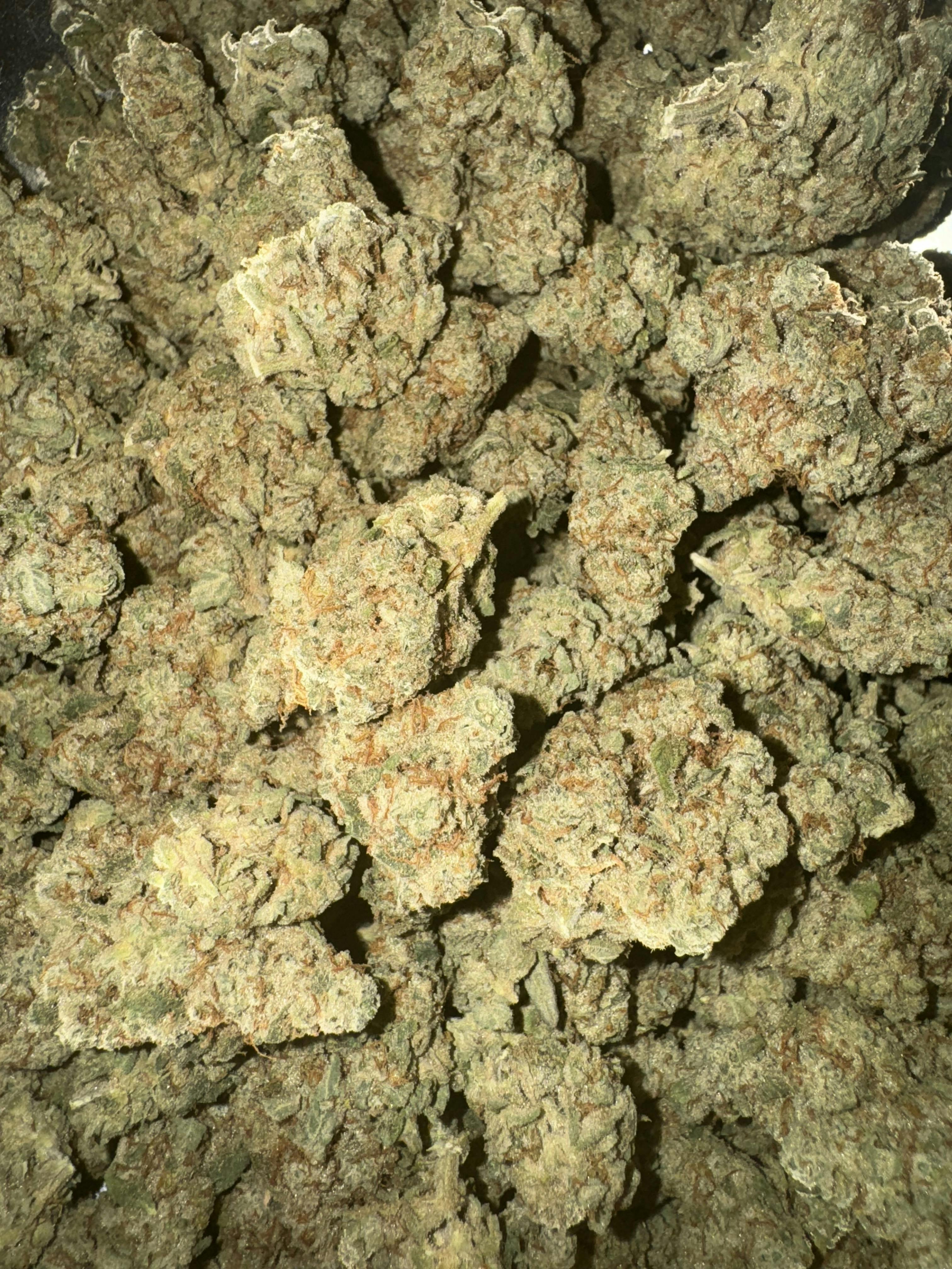 MAC Buds - MED