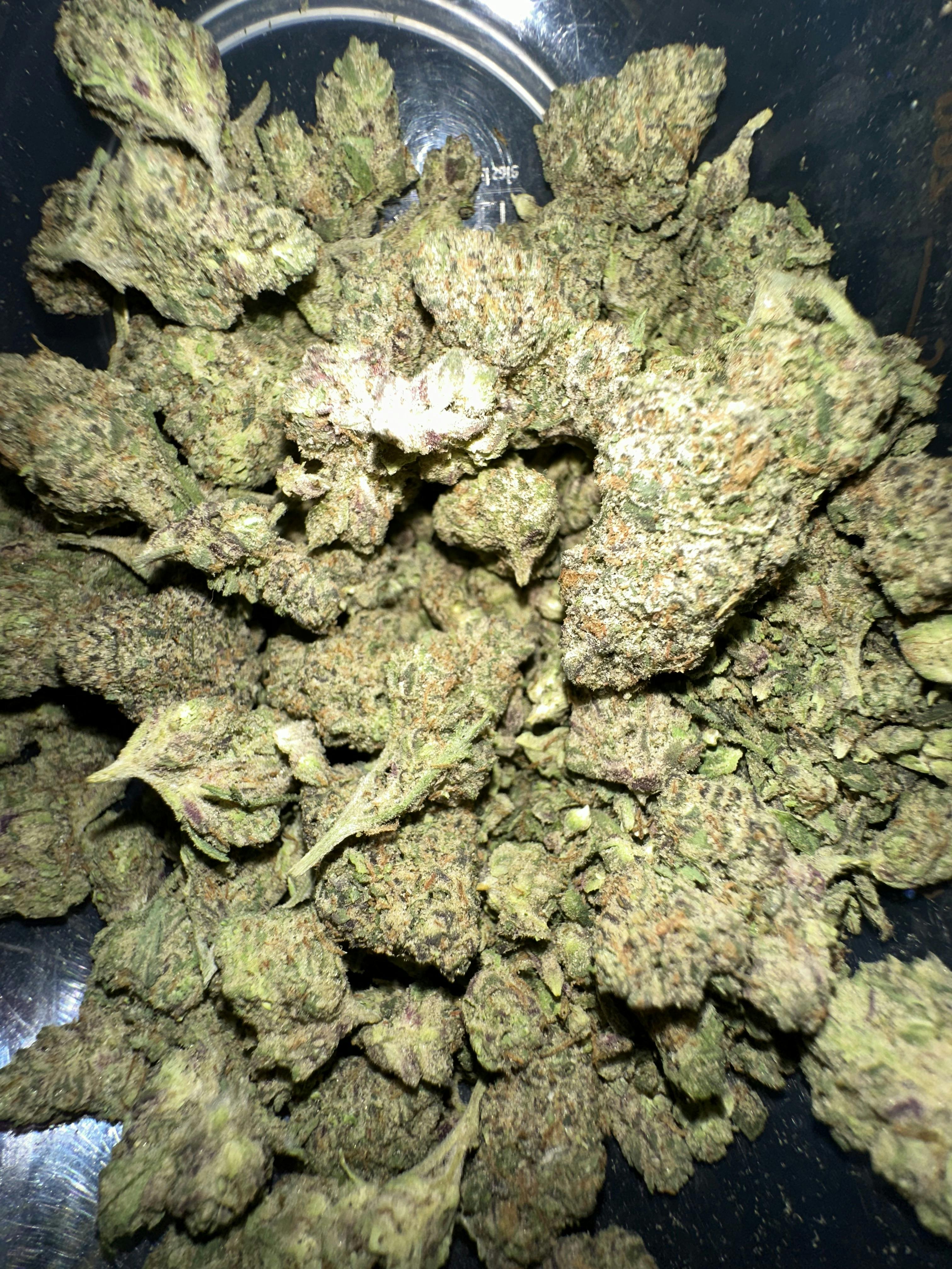 Cinderella Pineapple Buds