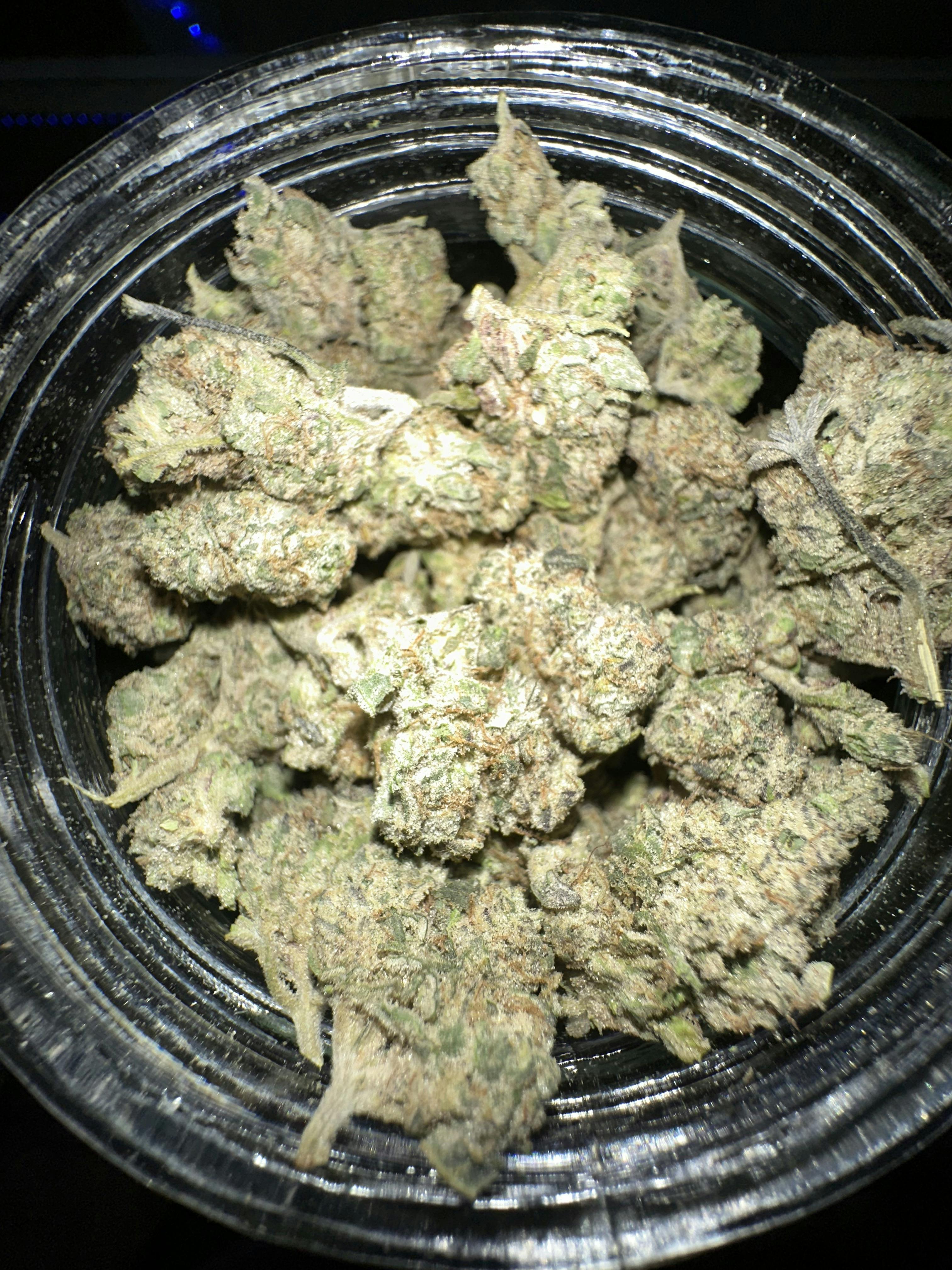 LungBuster Buds