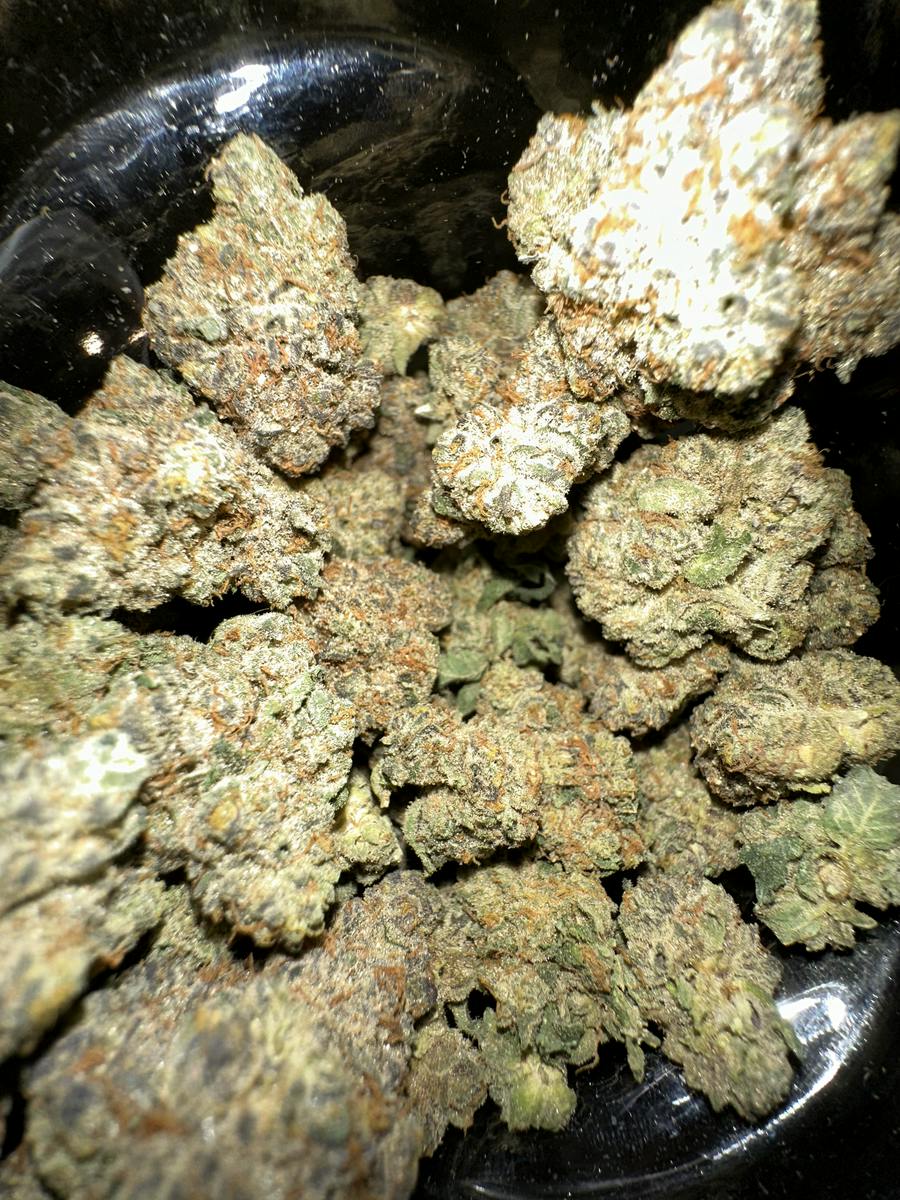 Jealousy Green Pharm