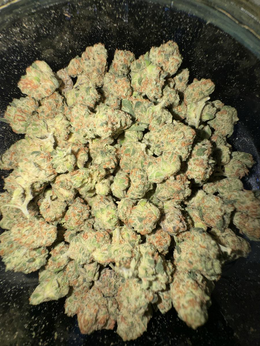 Don Shula Popcorn