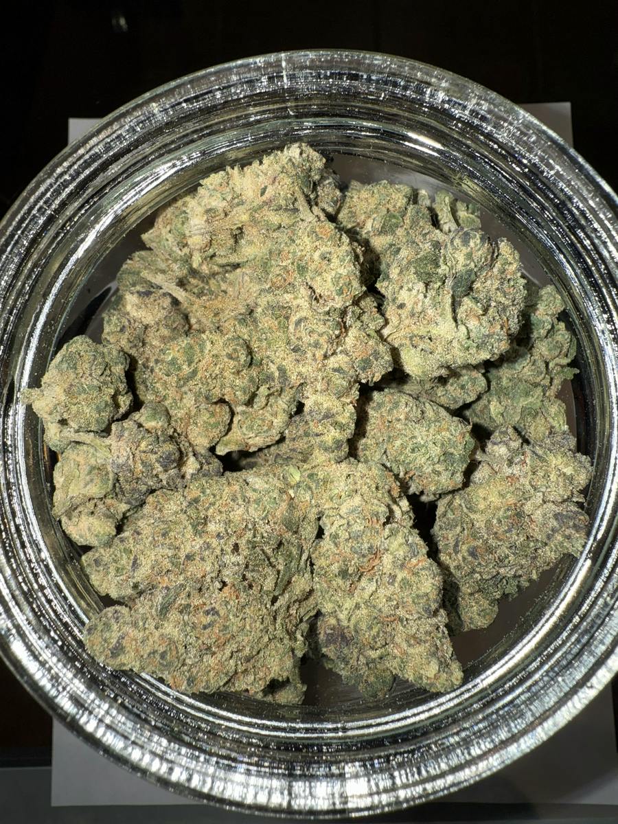 Turbo Charged Buds