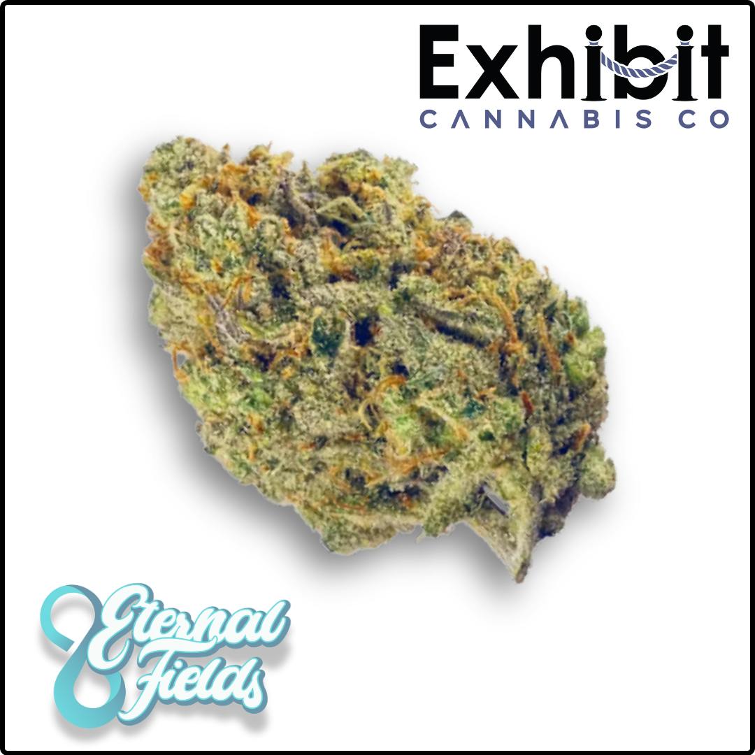 Blue Platinum #41-By Eternal Fields-Deli Flower