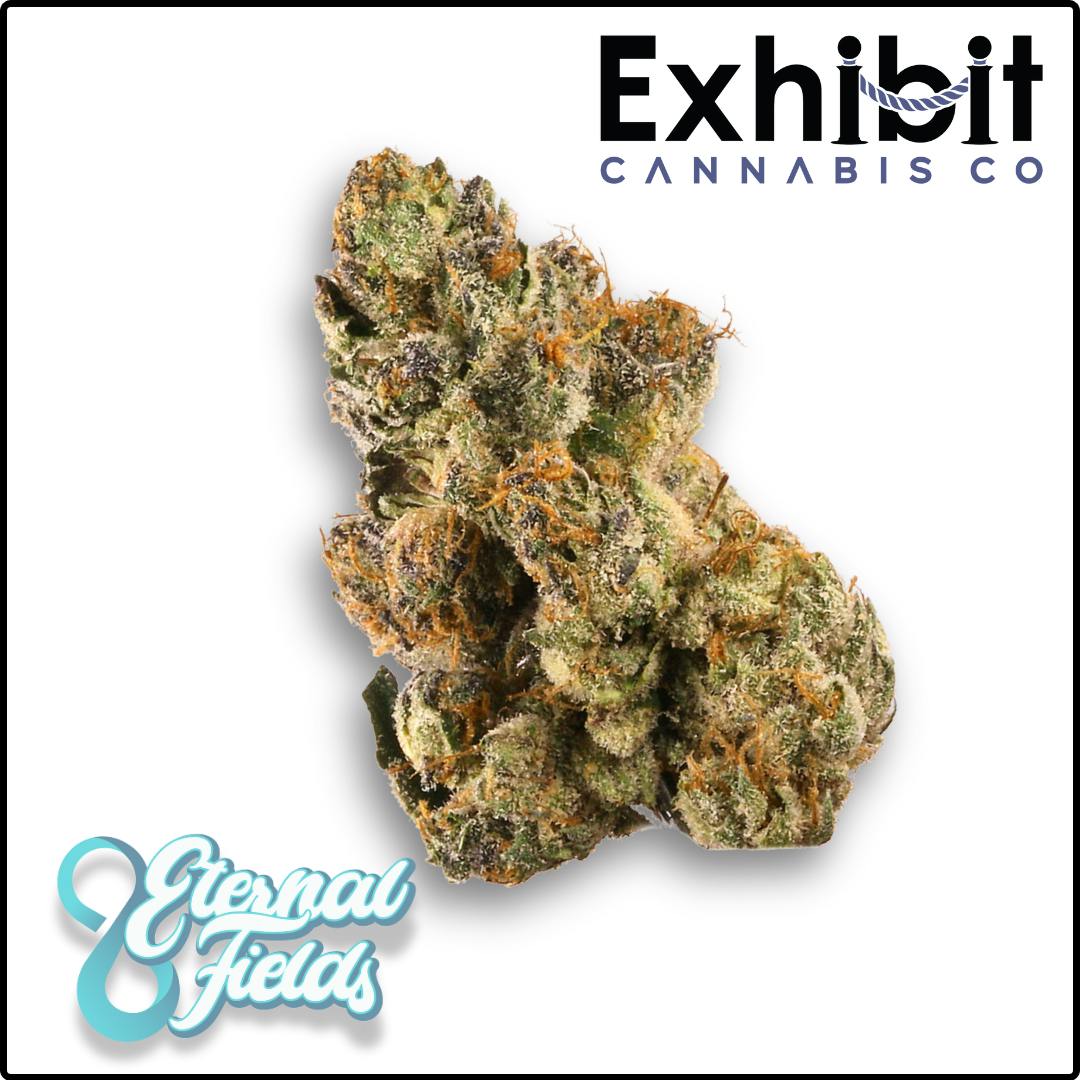 Strawberry Runtz-By Eternal Fields-Deli Flower