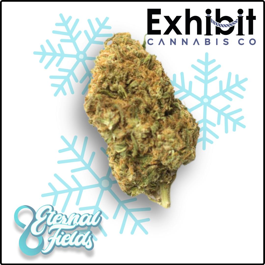 Moose Trax-Snowballs--THCa Infused Deli Flower-By Eternal Fields
