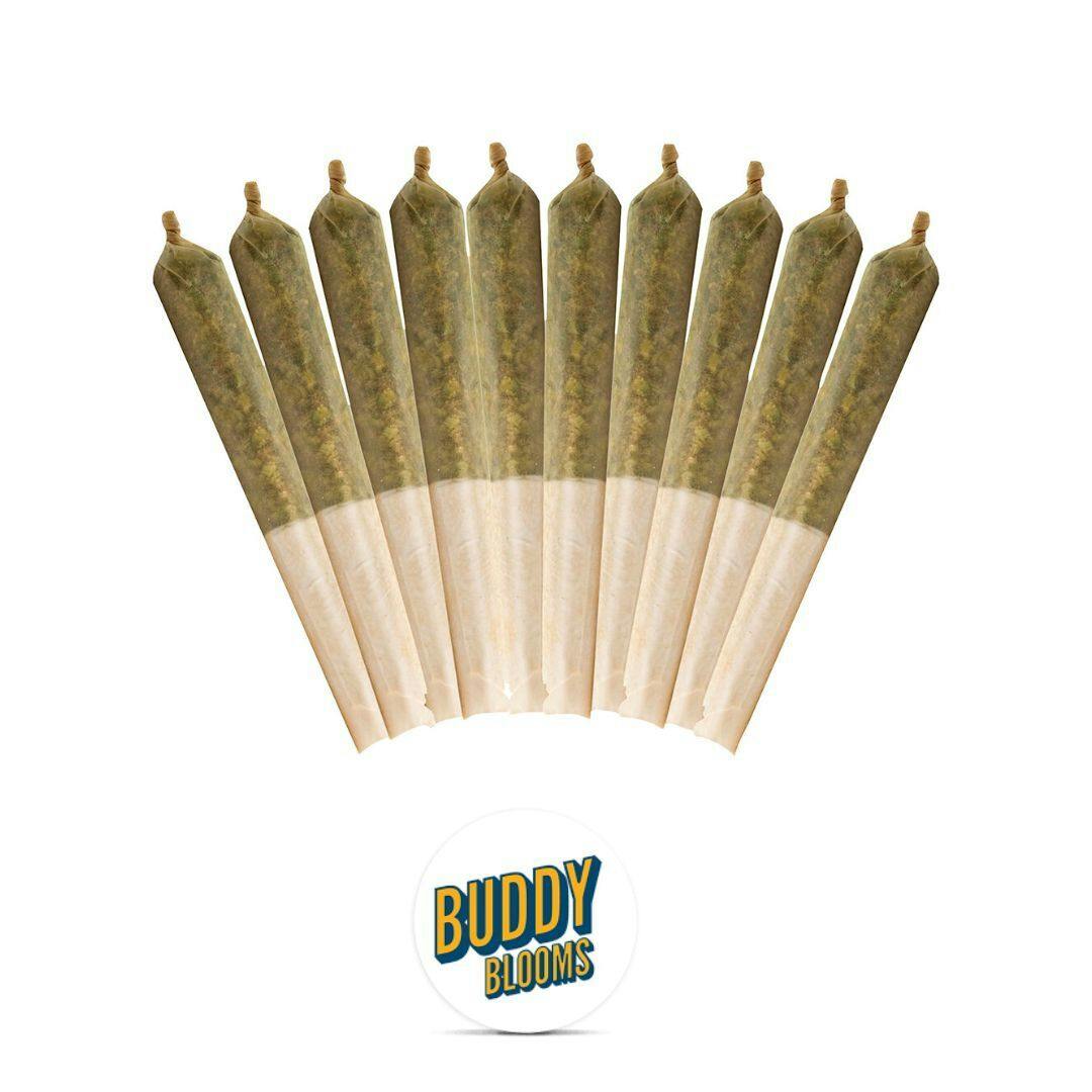 Buddy Bloom - Ethos Glue Pre-Roll - 10x0.5g