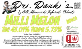 Aero Labs - Dr. Dank's 1g Moonrock Blunt - Milli Melon - Indica