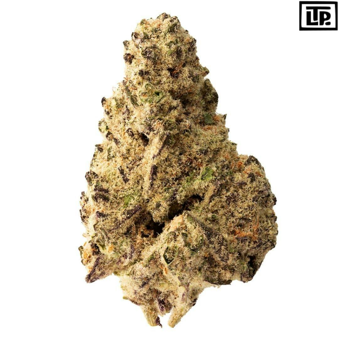 The Loud Plug | Platinum Punch Craft Flower