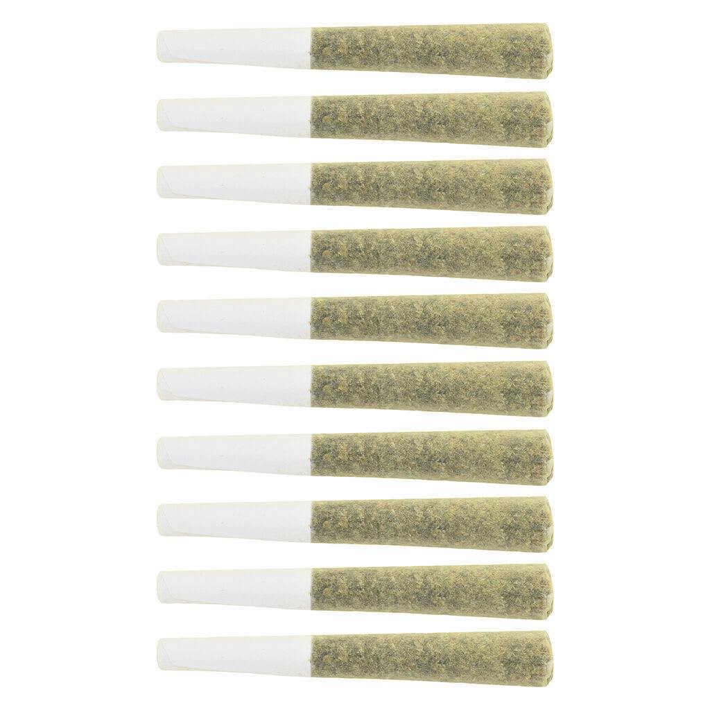 The Loud Plug | Lemon Gelato Pre-Roll | 10x0.5g *