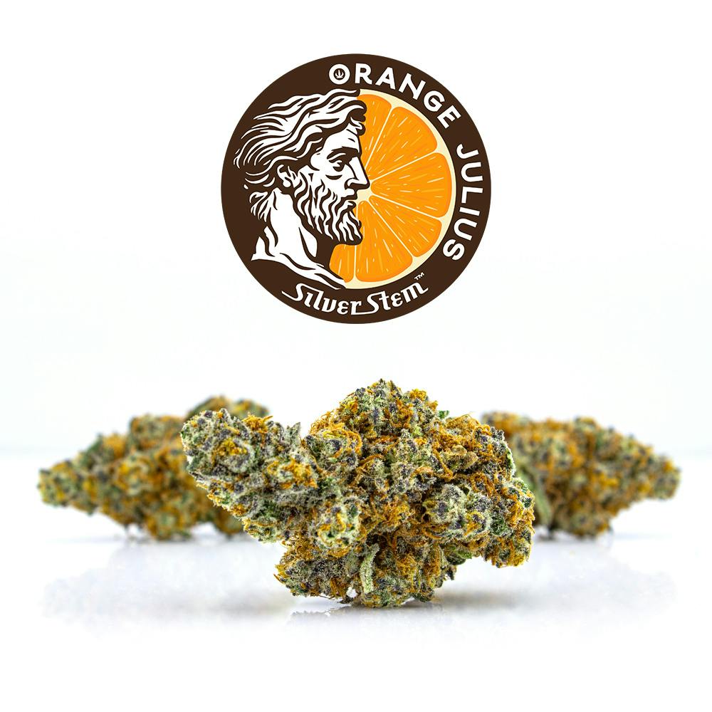 Orange Julius | Sativa-Hybrid cannabis product