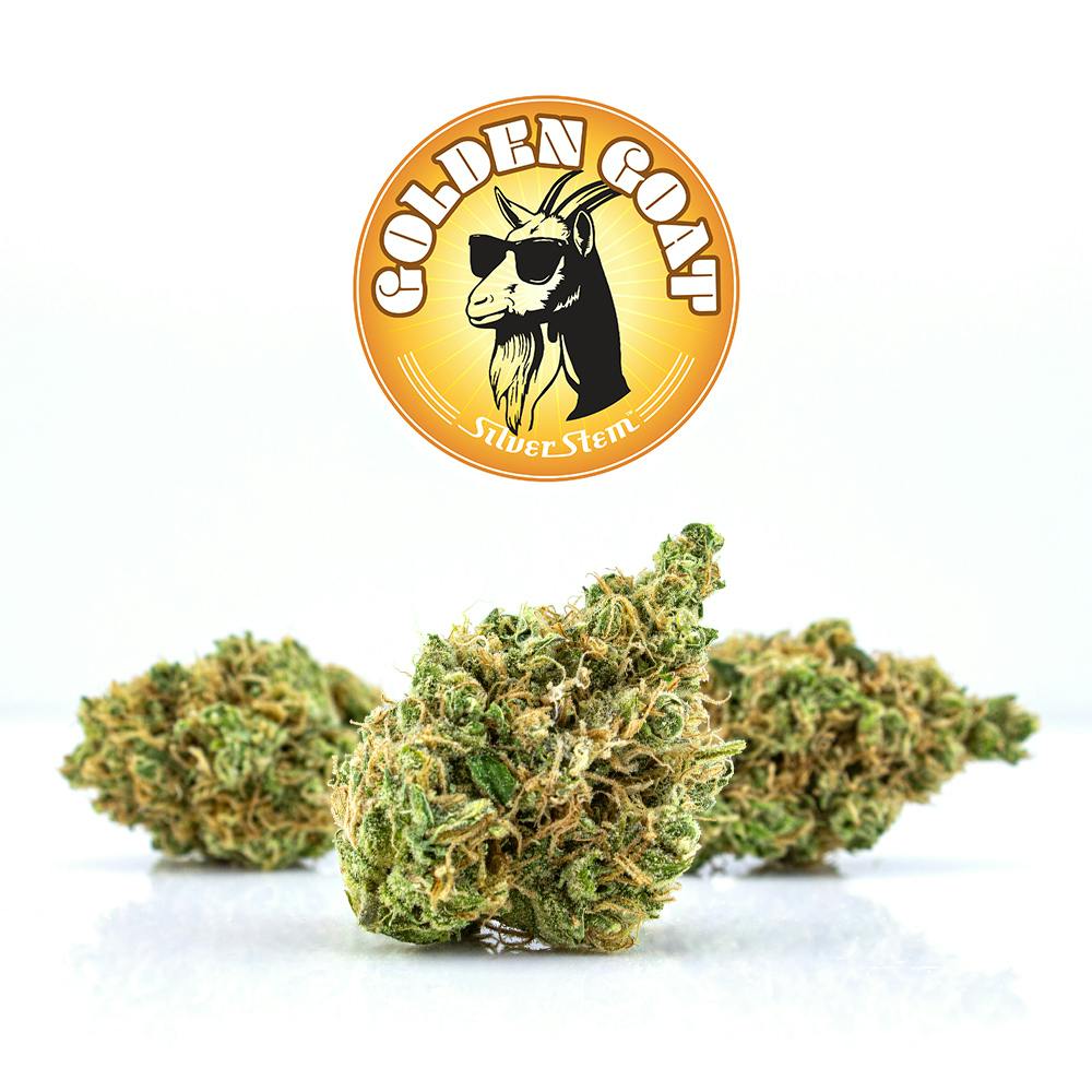 Golden Goat