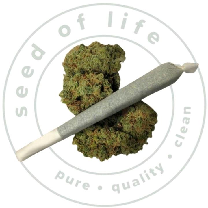 Pre-Roll (1g) - Sugar High