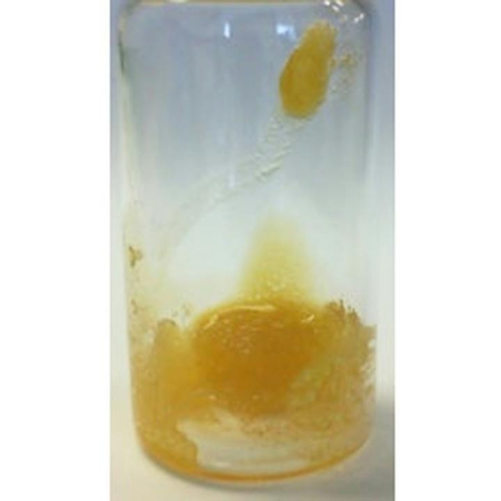 Apple Sundae Live Badder - 500mg