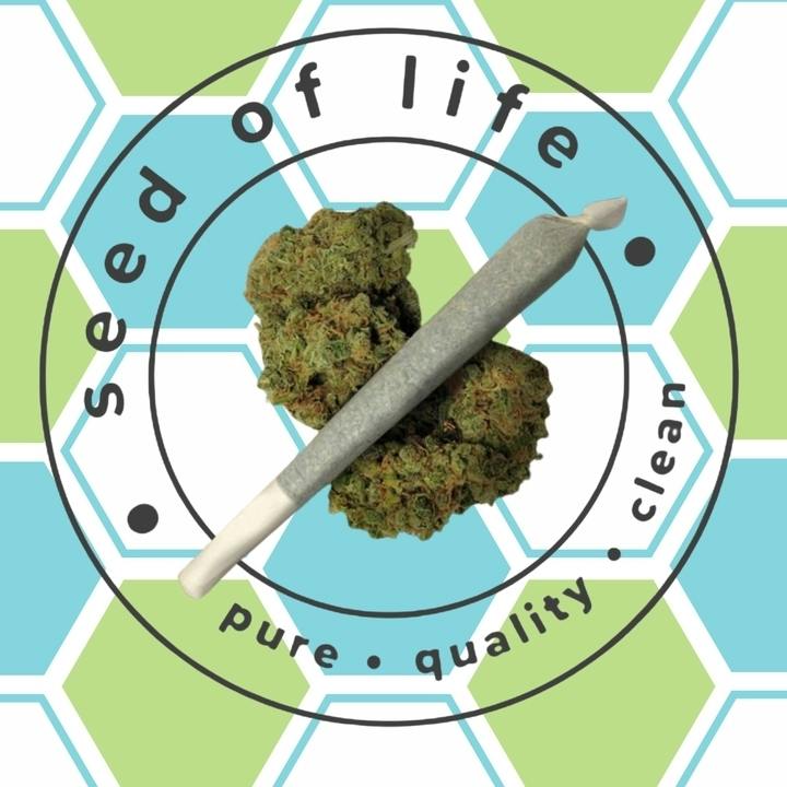 Pre-Roll (1g) - Revenge Runtz at Seed of Life Labs - Glendive
