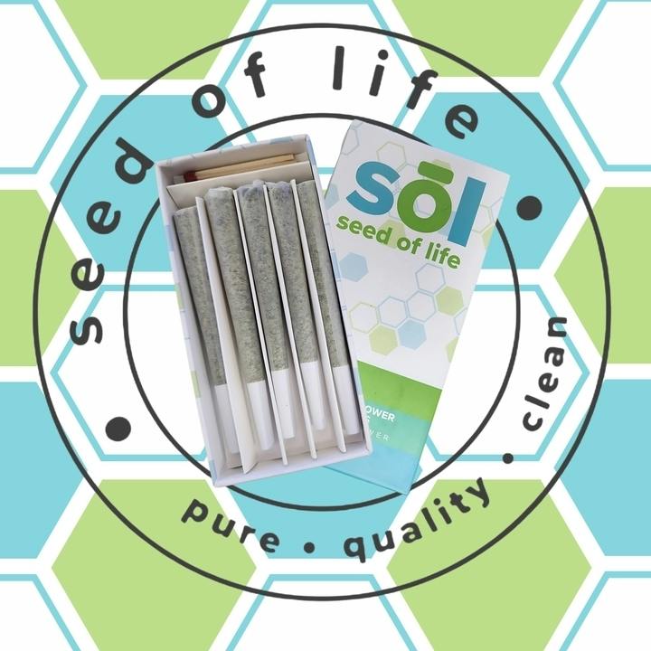 Pre-Roll (5pk) - Ken's OG cannabis product