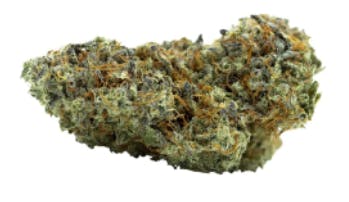 Carmel - Billy's Pheno - Hybrid - 3.5g