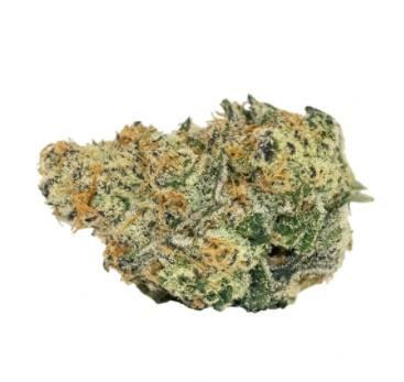 Carmel - Drew's Pheno - Indica - 3.5g