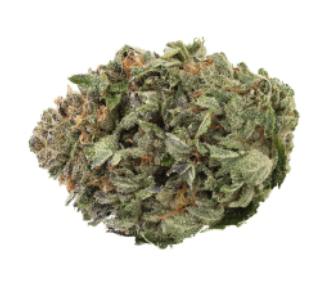 1964 - Organic Comatose - Indica - 3.5g