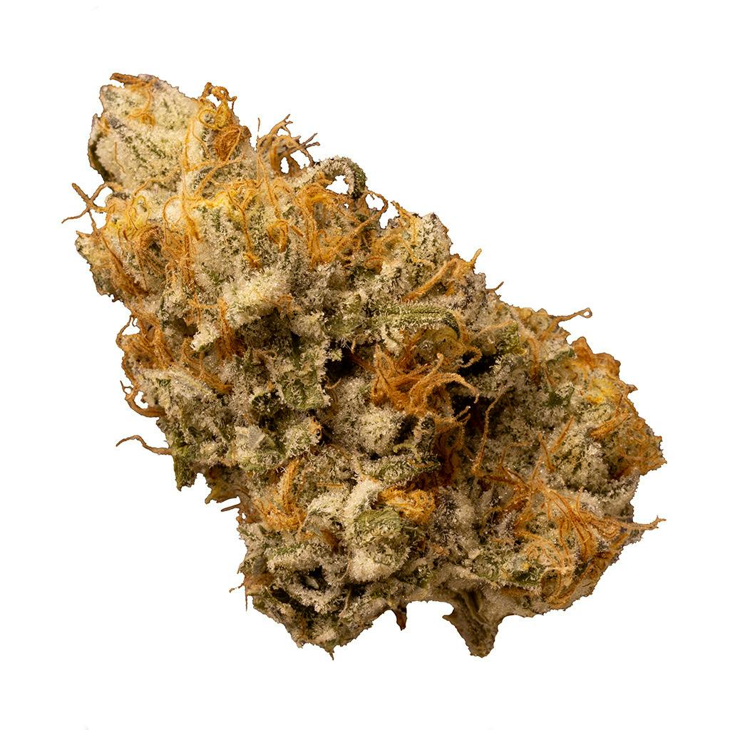 Terpenology - Explore the stars - Hybrid - 7g