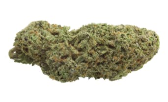 1964 - Organic Sour Cookies - Sativa - 14g