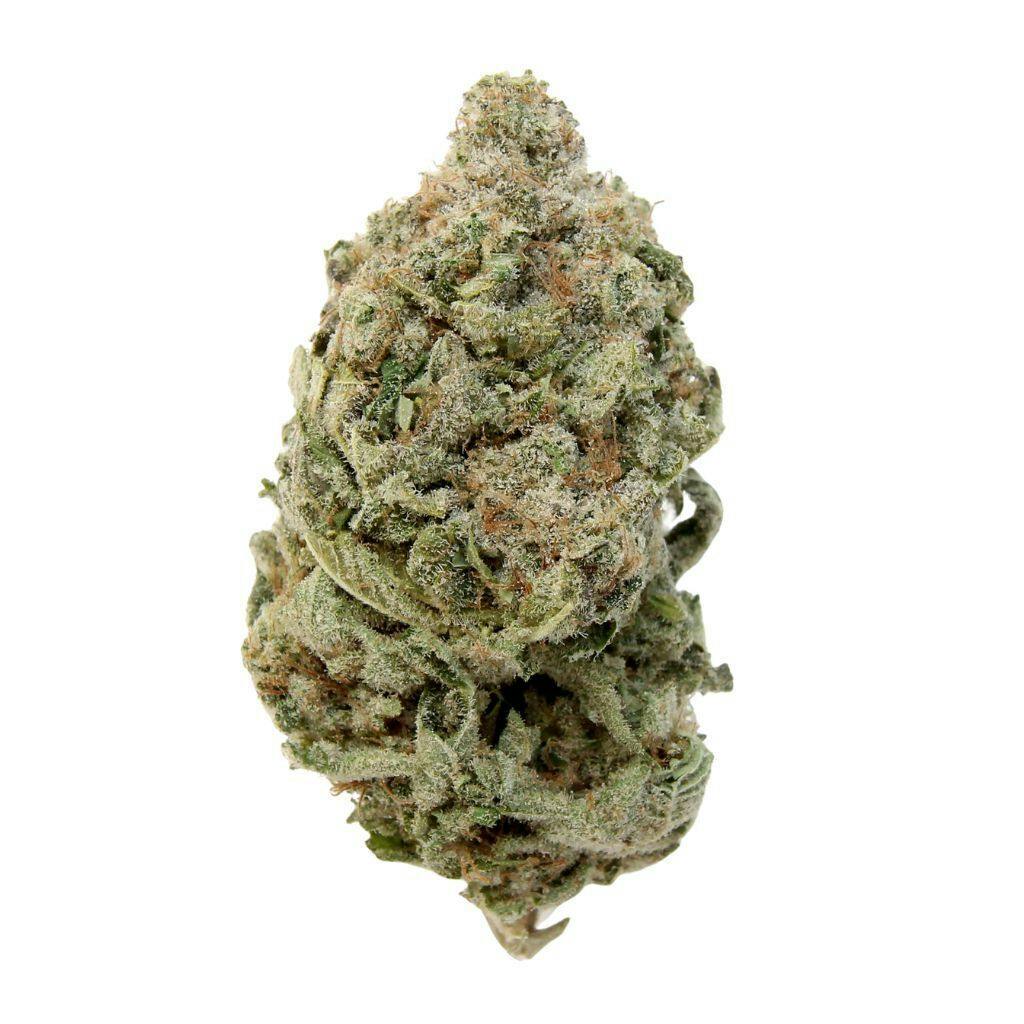 Choice Growers - Grapefruit God Bud 2.0 - Indica - 1g