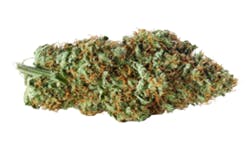 Lilac Diesel - 1g
