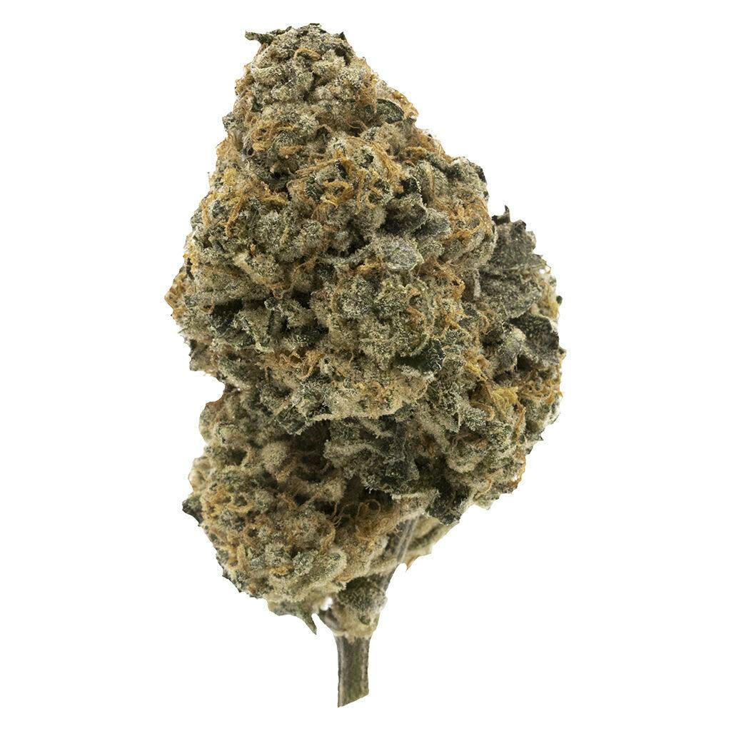 Kandy Cake - Dried Flower 14g Dried Flower
