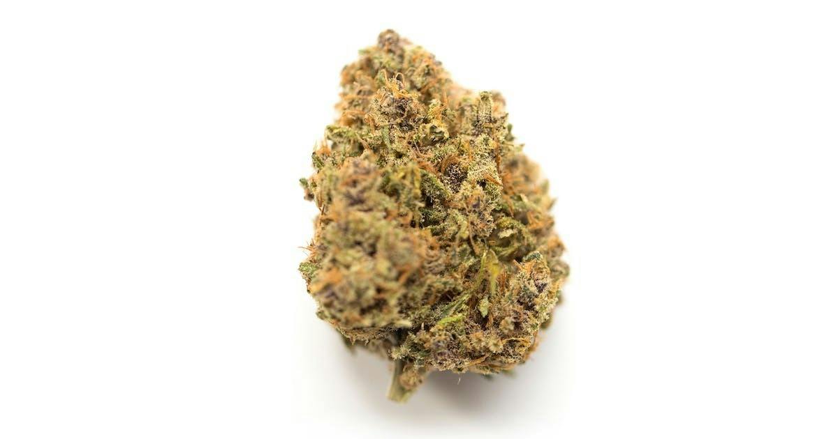 Local Baja Fog Flower
