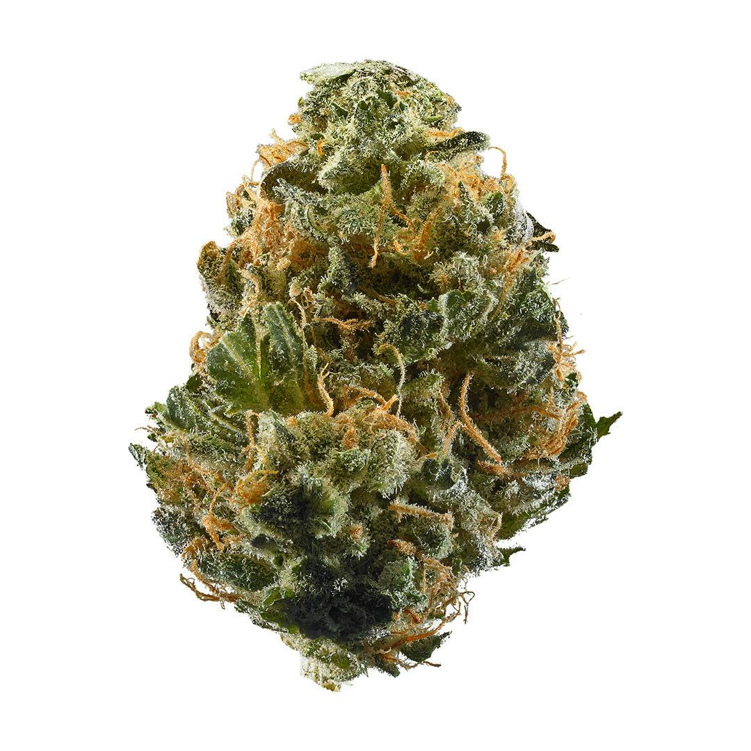 Gold Rush BoofScotti #2 Flower
