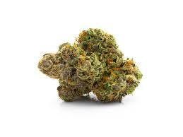 B-Sides Grease Queen Flower