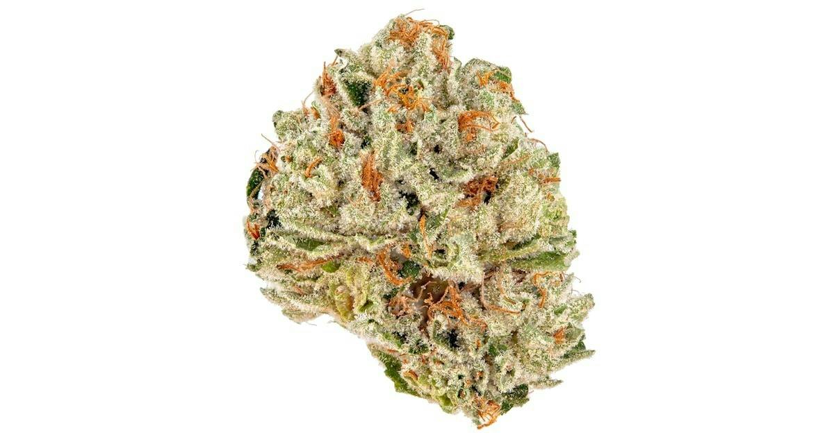 Greenlight Gold Purple Cake Flower