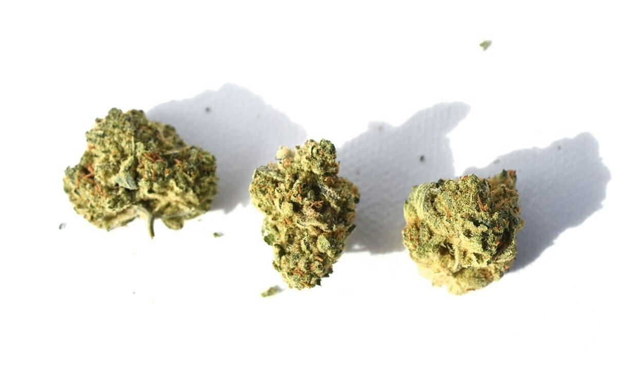 Vertical Jokerz Candy Smalls Flower