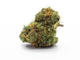 Good Day Farm Billy Ocean Flower at Stairway Cannabis