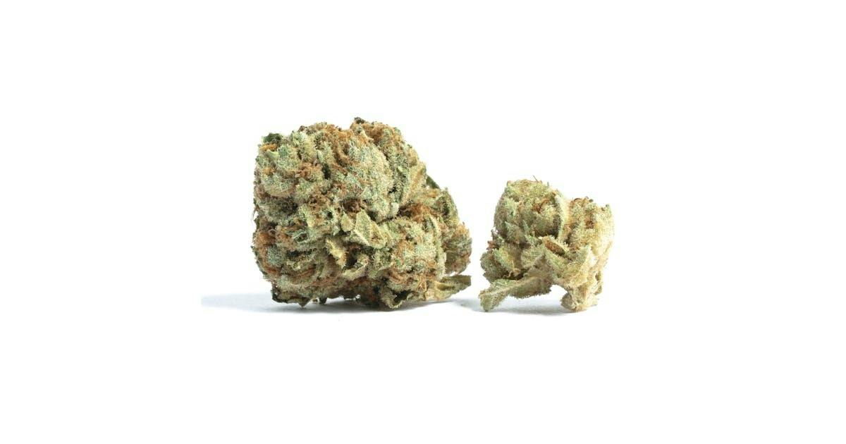 The Solid Hibachi Flower | 1