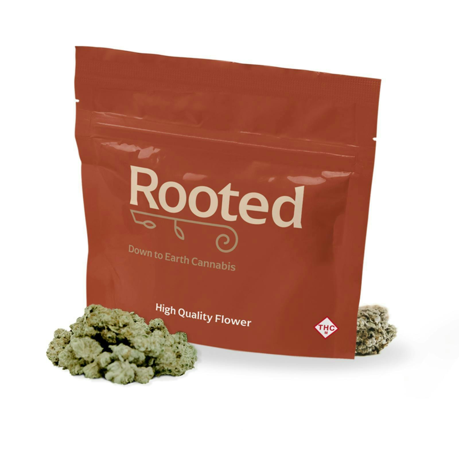 Rooted Sherbet Honey Flower