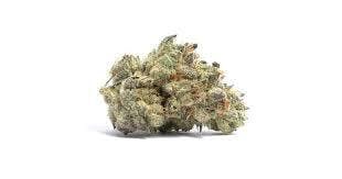Scout & Seed Pineapple Express Popcorn