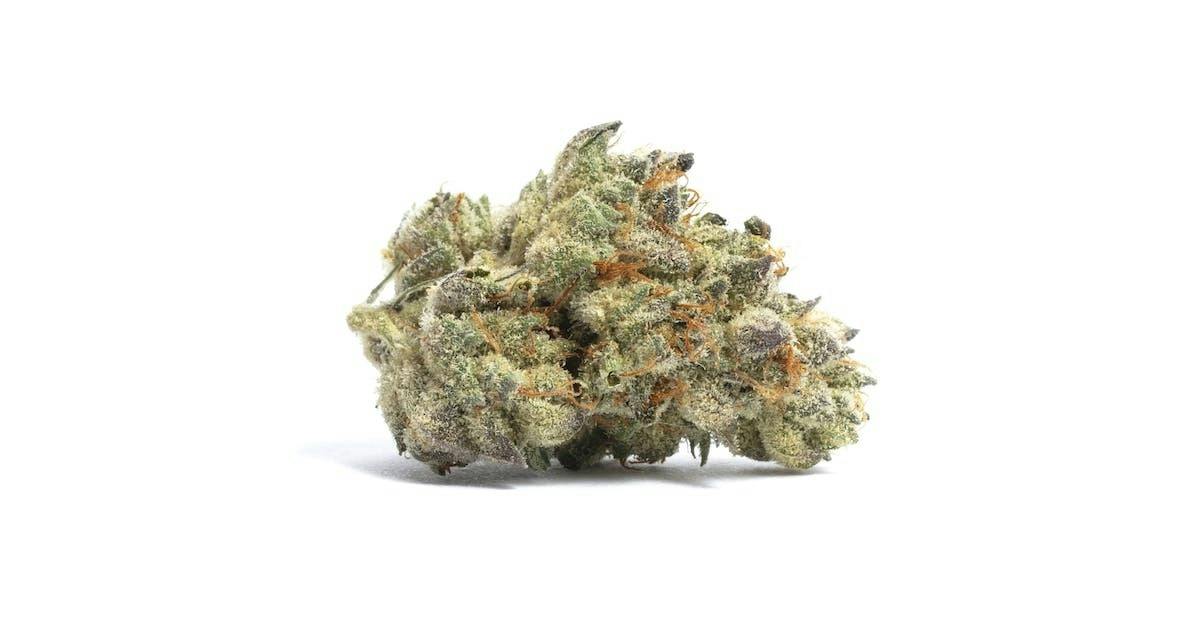 Archie's Gods Gift Flower
