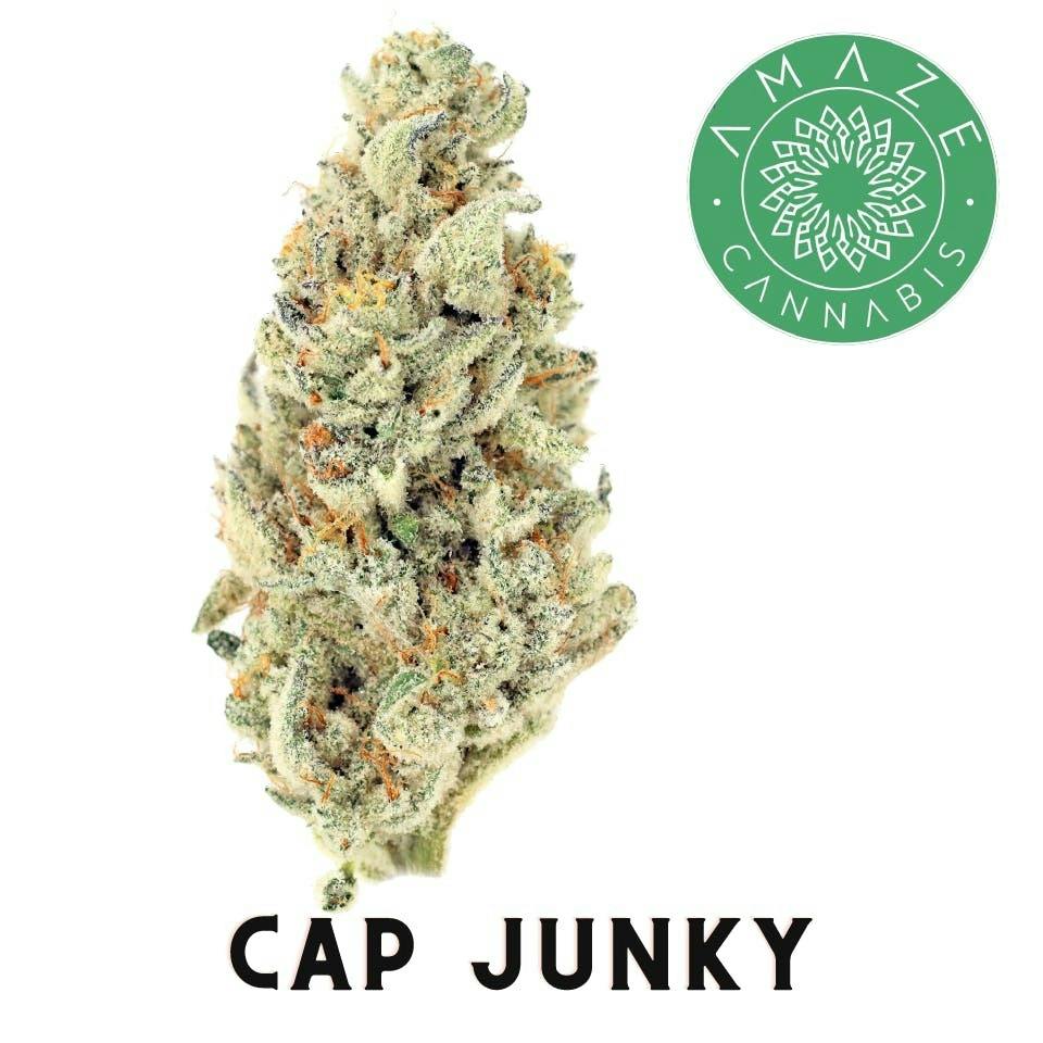 Amaze Cap Junky Popcorn Flower