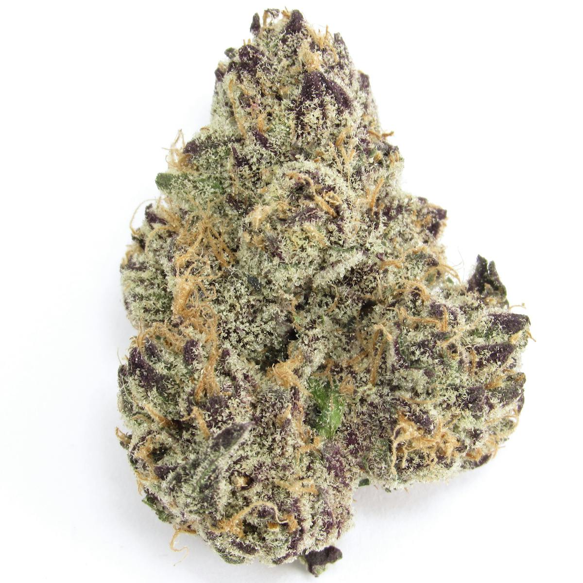 Archie's Pineapple Razzles Flower
