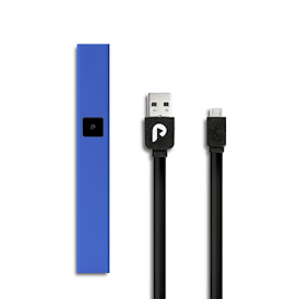 PLUGPLAY | BLUE STEEL | BATTERY