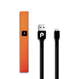 PLUGPLAY - ORANGE STEEL BATTERY