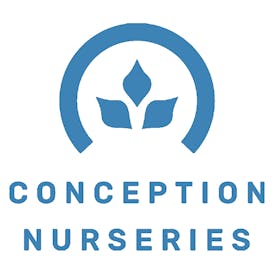 CONCEPTION NURSERIES | E85 | CLONE