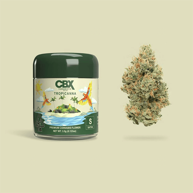 CBX | TROPICANNA | 3.5G