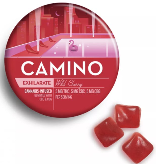 CAMINO — Wild Cherry