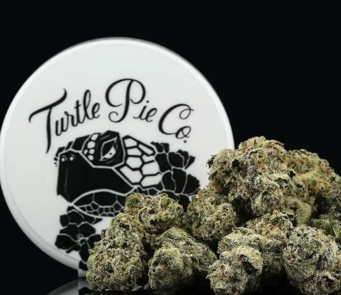 TURTLE PIE | RX | 3.5G
