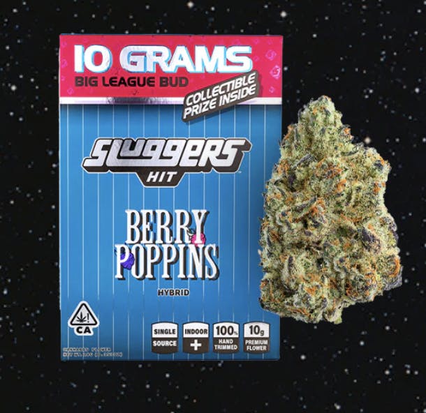 Sluggers: Berry Poppins