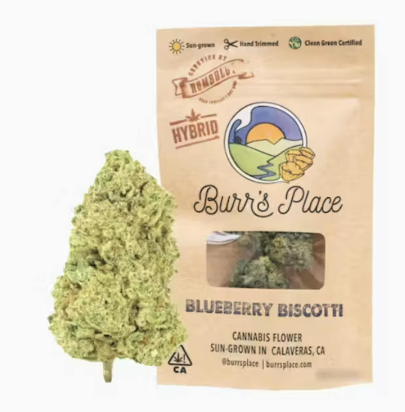 BURRS PLACE — Blueberry Biscotti